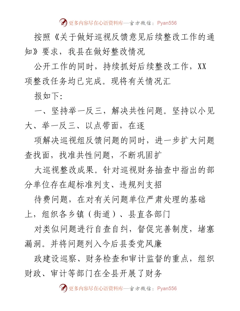 [工作总结] 整改工作汇报 - 巡视整改工作的持续推进与成效总结.docx_第1页