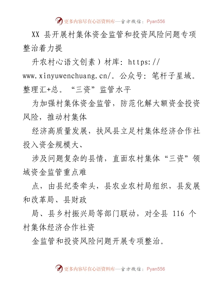 [工作总结] 扶风县 - 村集体资金监管与投资风险专项整治工作总结.docx_第1页