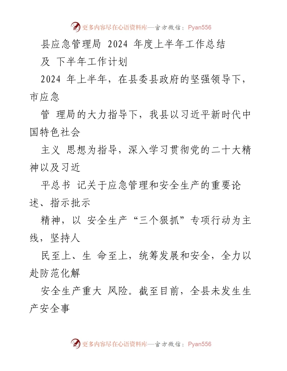 [工作总结] 应急管理局 - 2024年度上半年安全生产工作总结及下半年计划.docx_第1页
