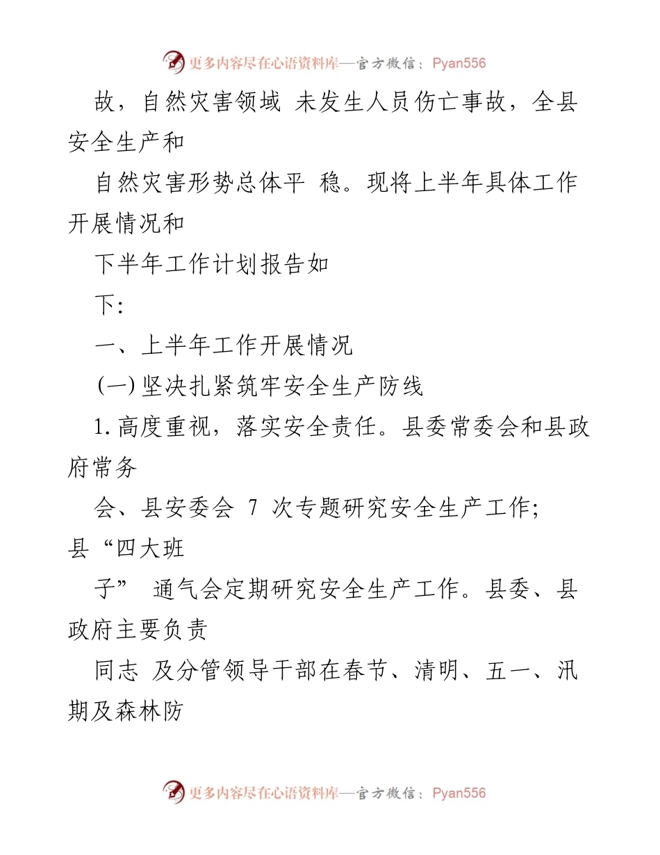 [工作总结] 应急管理局 - 2024年度上半年安全生产工作总结及下半年计划.docx_第2页