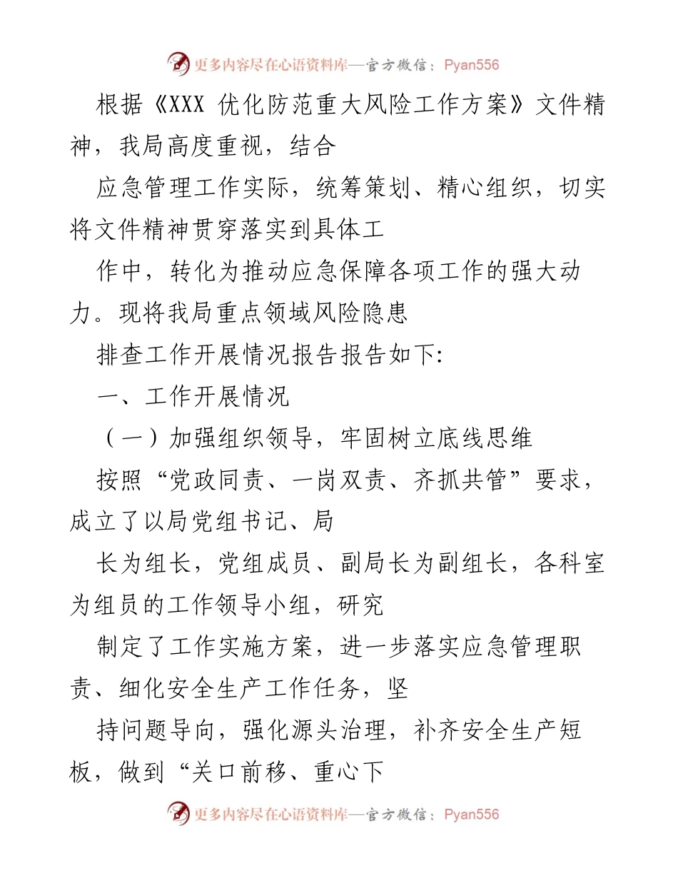 [工作总结] 应急管理工作 - 我局关于重点领域风险隐患排查工作开展情况的总结报告.docx_第1页