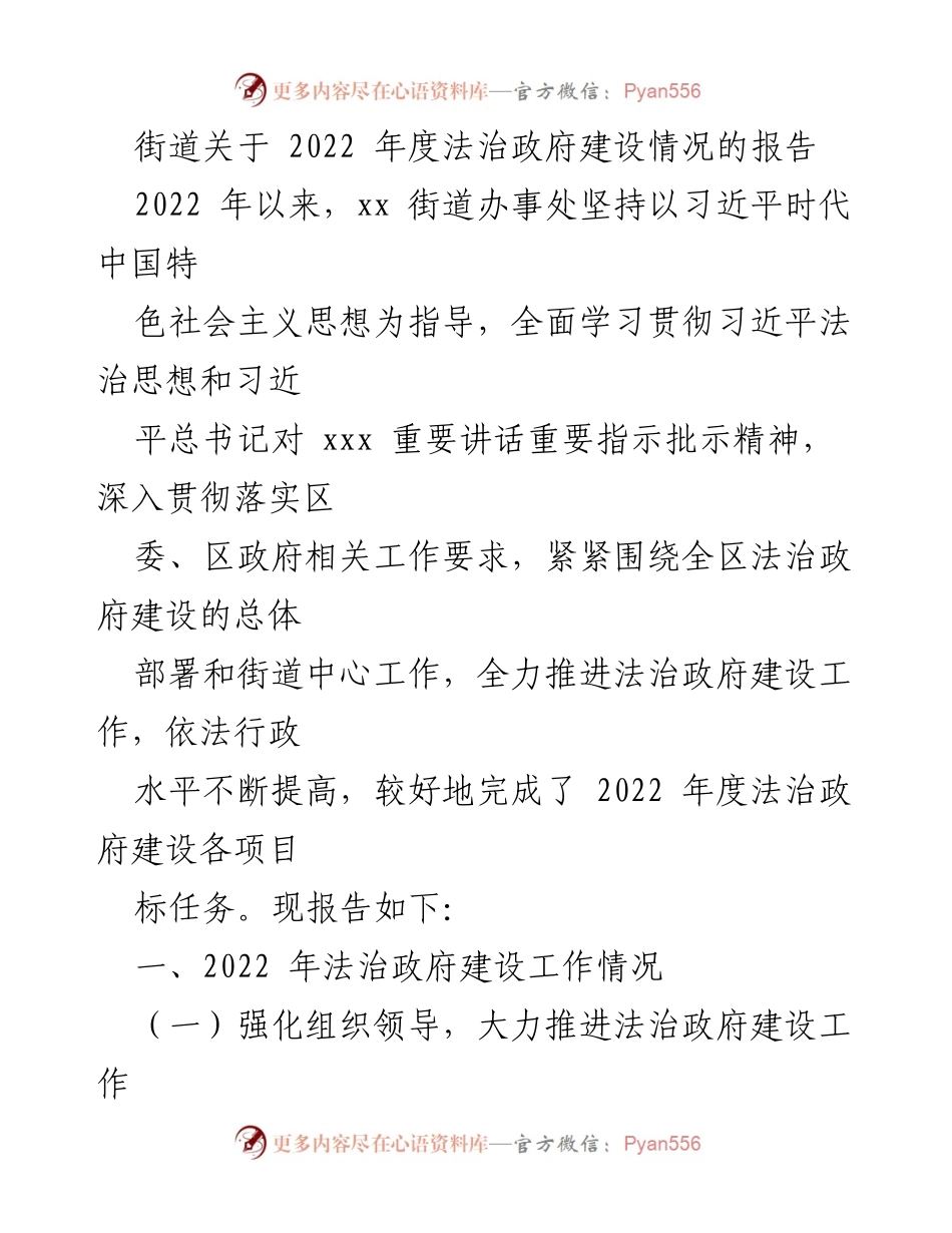[工作总结] 年度法治政府建设 - 2022年度法治政府建设工作总结报告.docx_第1页