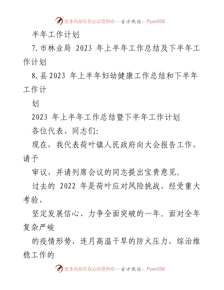 [工作总结] 政府会议 - 2023年上半年工作总结与下半年计划报告.docx_第2页