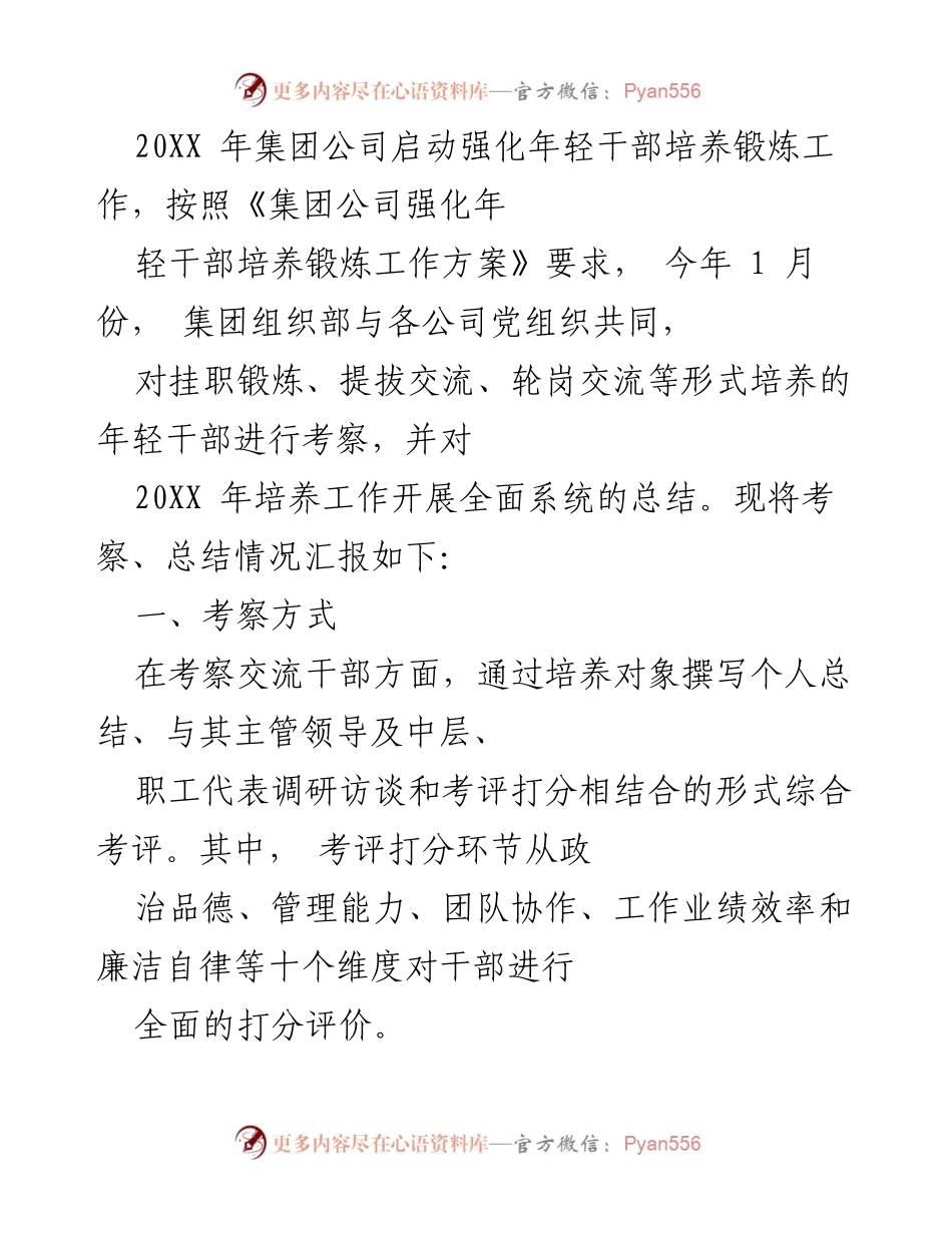 [工作总结] 年轻干部培养锻炼 - 20XX年年轻干部考察与总结报告.docx_第1页