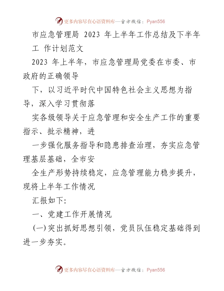 [工作总结] 应急管理局 - 2023年上半年工作总结及下半年工作计划.docx_第1页