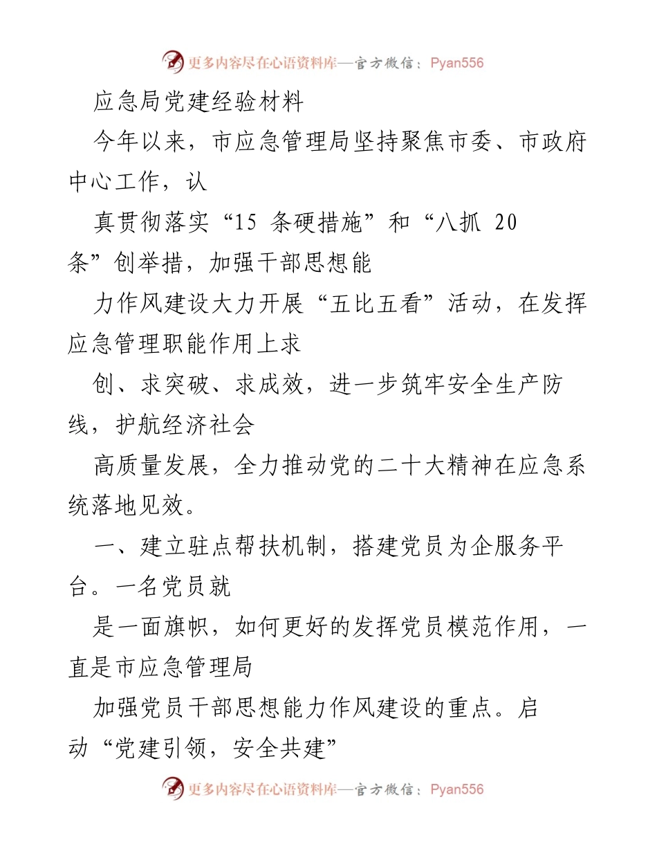 [工作总结] 应急管理局 - 加强党建引领，推动安全生产与企业发展.docx_第1页