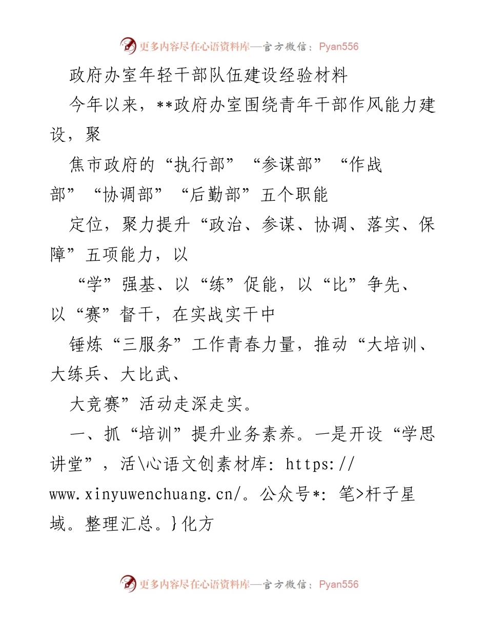 [工作总结] 政府办室 - 年轻干部队伍建设经验分享.docx_第1页