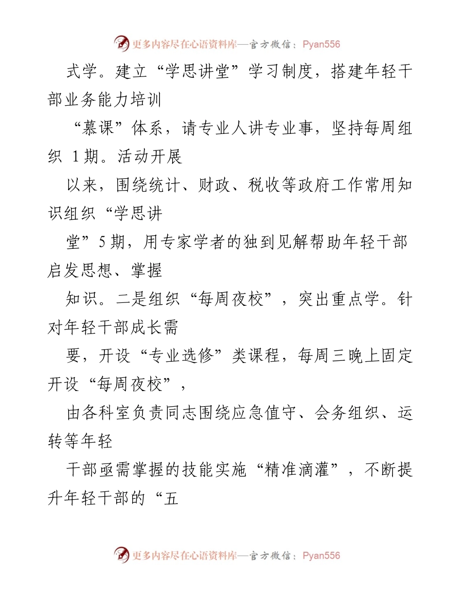 [工作总结] 政府办室 - 年轻干部队伍建设经验分享.docx_第2页
