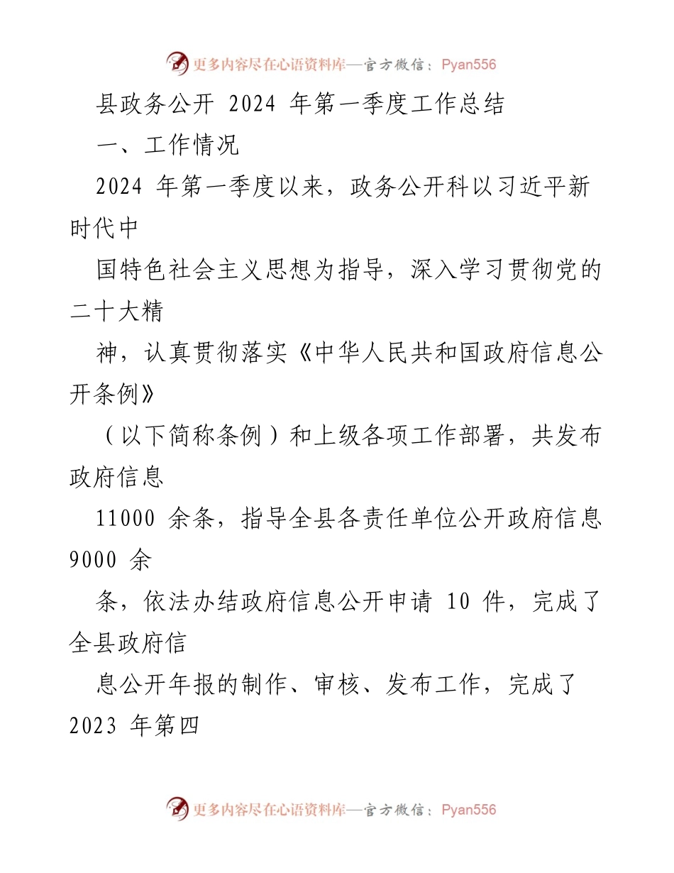 [工作总结] 政务公开 - 2024年第一季度政务公开工作总结与展望.docx_第1页