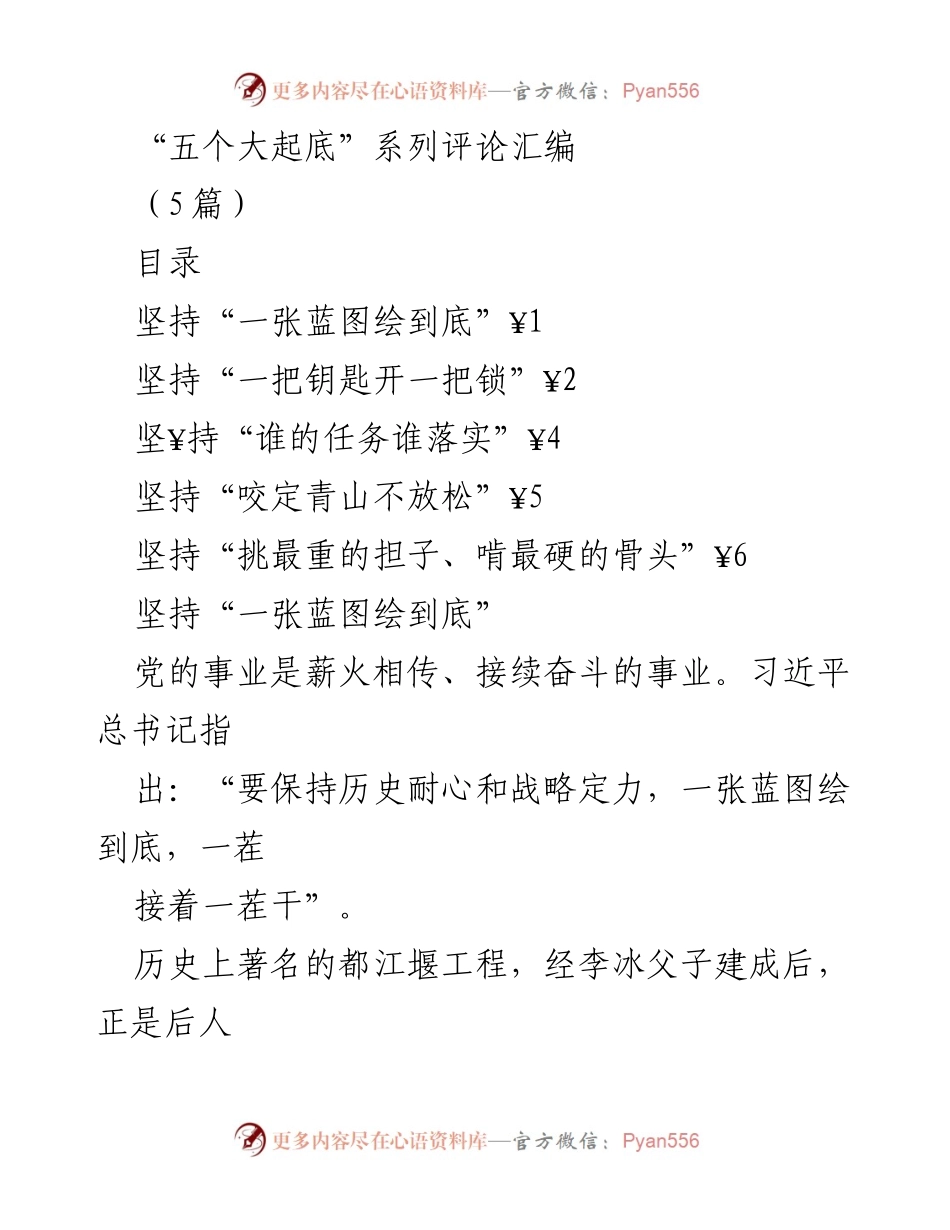 [工作总结] 政策执行 - “一张蓝图绘到底”与大起底行动的实施总结.docx_第1页