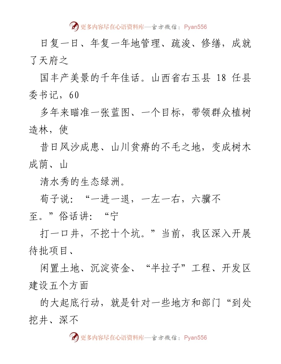 [工作总结] 政策执行 - “一张蓝图绘到底”与大起底行动的实施总结.docx_第2页