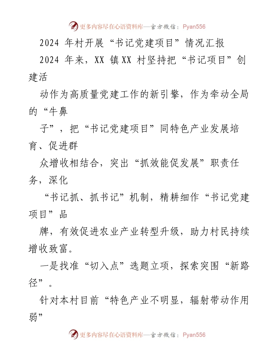 [工作总结] 村委会 - 2024年XX村书记党建项目实施情况汇报.docx_第1页