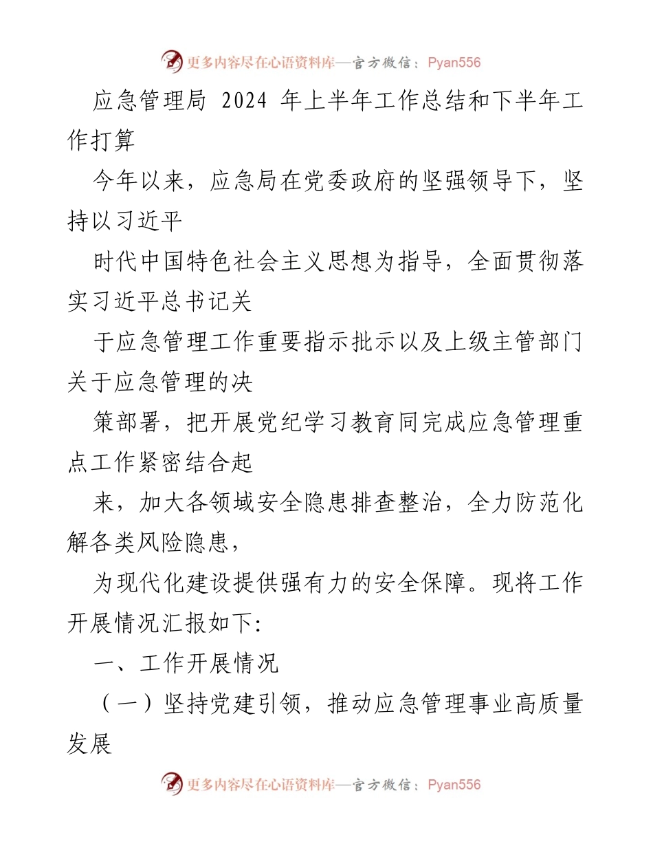 [工作总结] 应急管理局 - 2024年上半年工作总结与下半年工作计划_2.docx_第1页