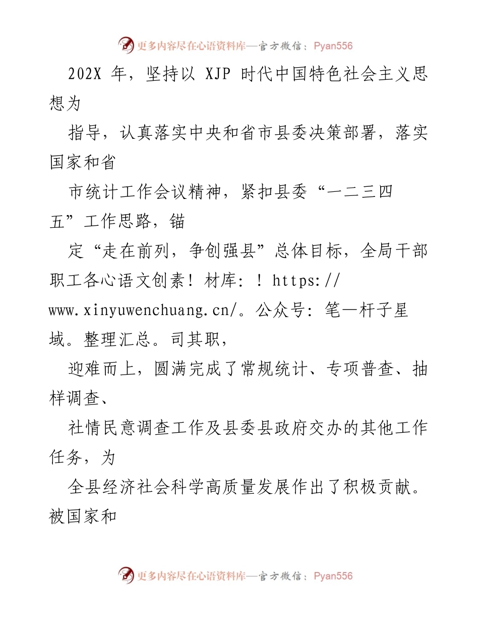 [工作总结] 年度统计工作 - 202X年度统计工作总结与成就报告.docx_第1页
