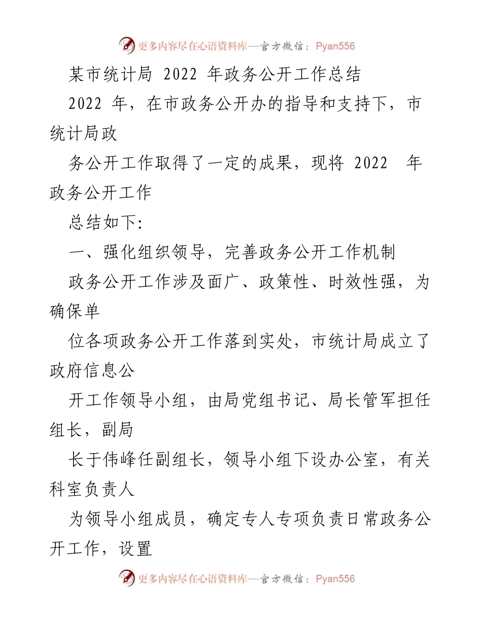 [工作总结] 政务公开 - 2022年市统计局政务公开工作总结.docx_第1页