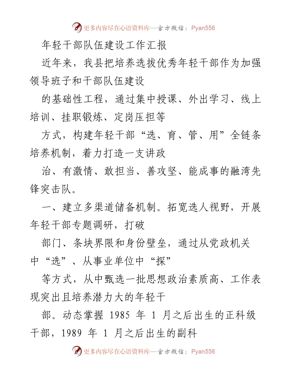 [工作总结] 年轻干部队伍建设 - 年轻干部培养机制建设工作汇报.docx_第1页