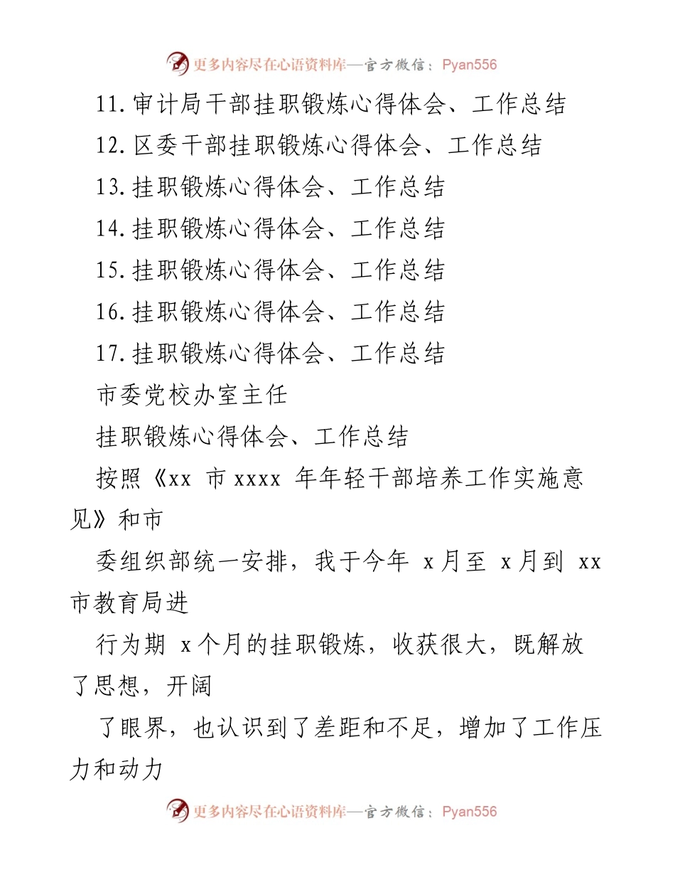 [工作总结] 挂职锻炼 - 挂职锻炼的收获与体会：深入理解城市精神与个人成长.docx_第2页