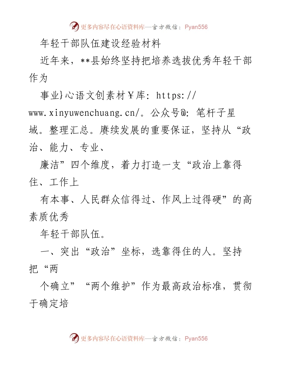[工作总结] 年轻干部队伍建设 - 优秀年轻干部培养选拔经验总结.docx_第1页