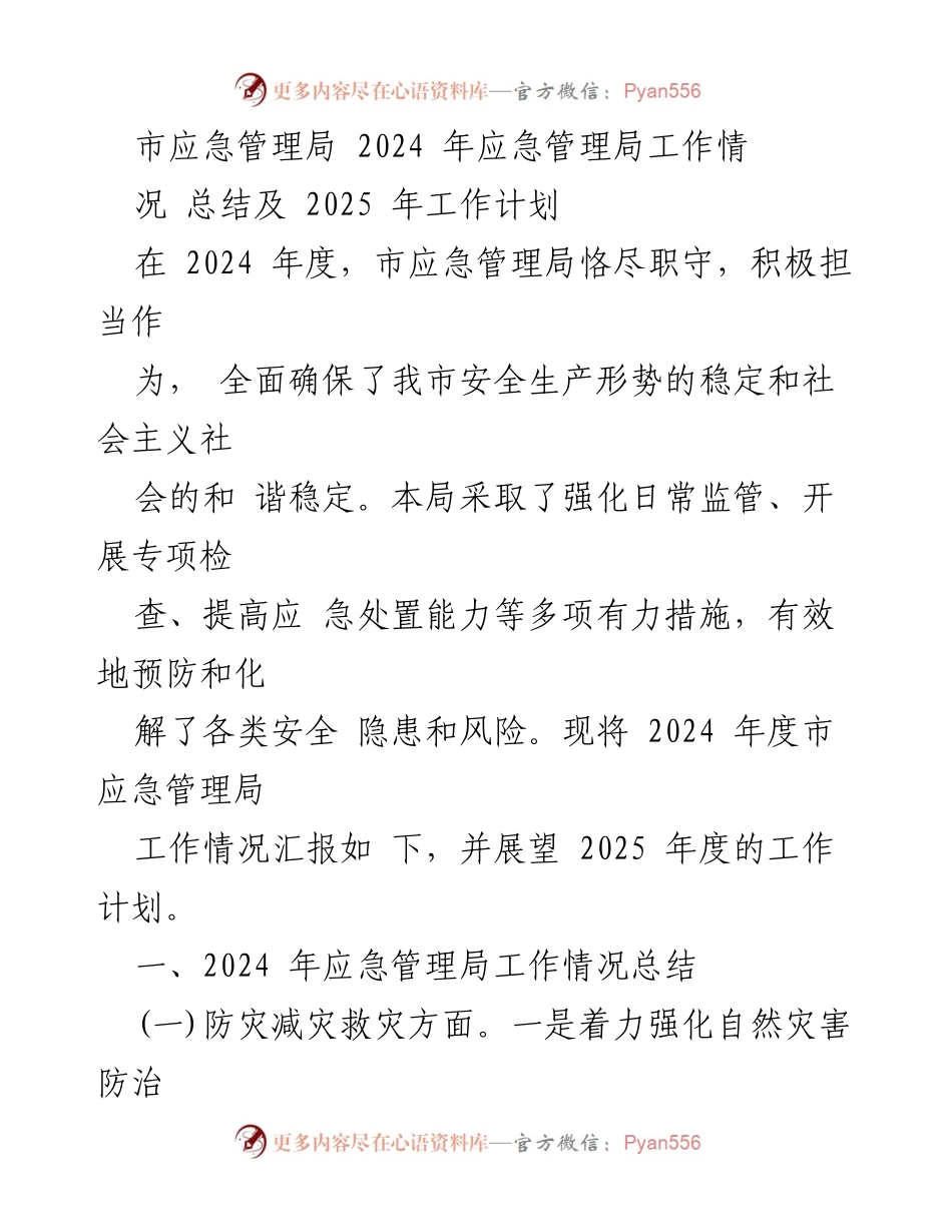 [工作总结] 应急管理局年度汇报 - 2024年应急管理局工作总结与2025年工作计划展望.docx_第1页
