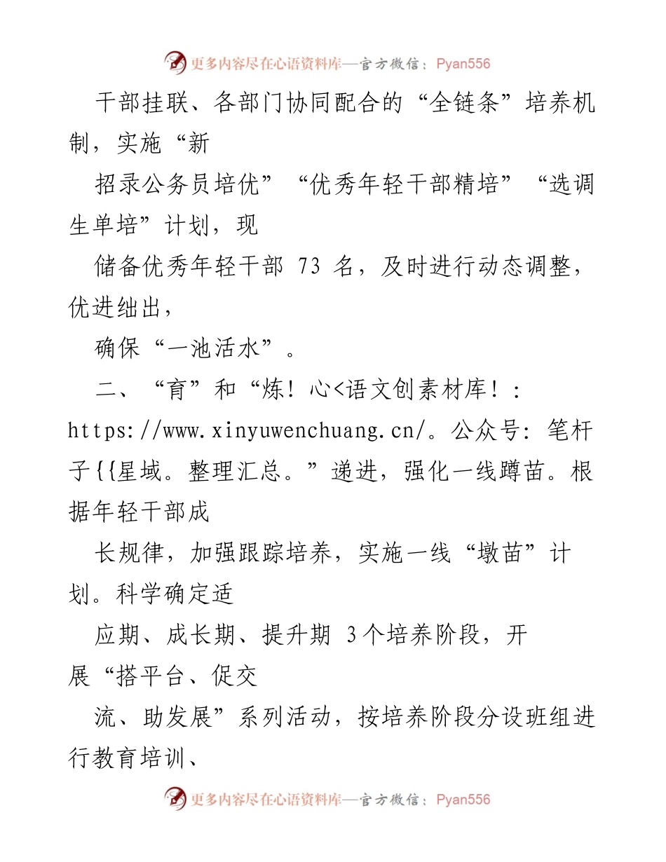 [工作总结] 年轻干部培养选拔工作 - 年轻干部培养选拔机制与实践探索.docx_第2页