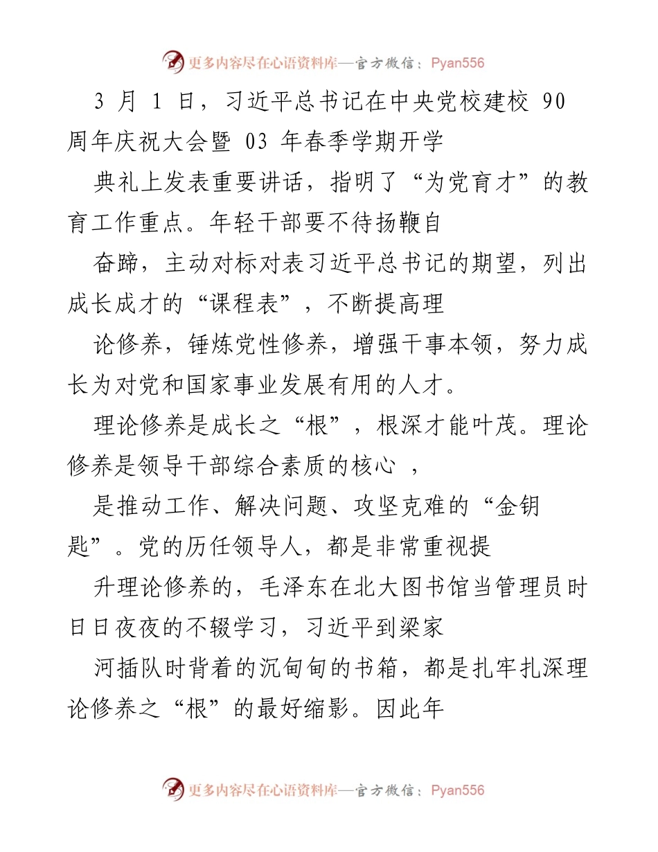 [工作总结] 年轻干部成长路径与理论修养的重要性.docx_第2页