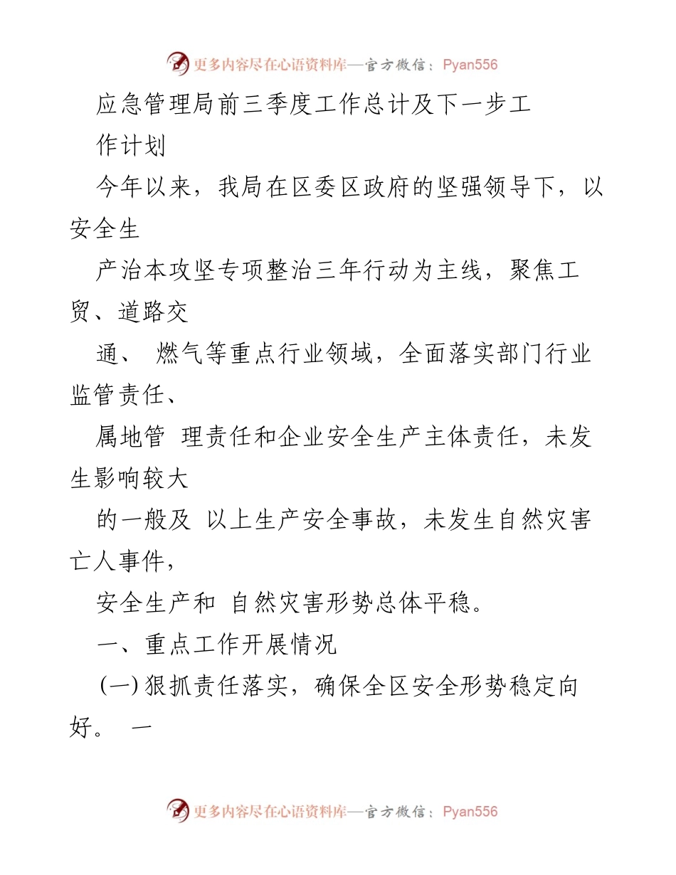 [工作总结] 应急管理局 - 前三季度安全生产工作总结及下一步计划_1.docx_第1页