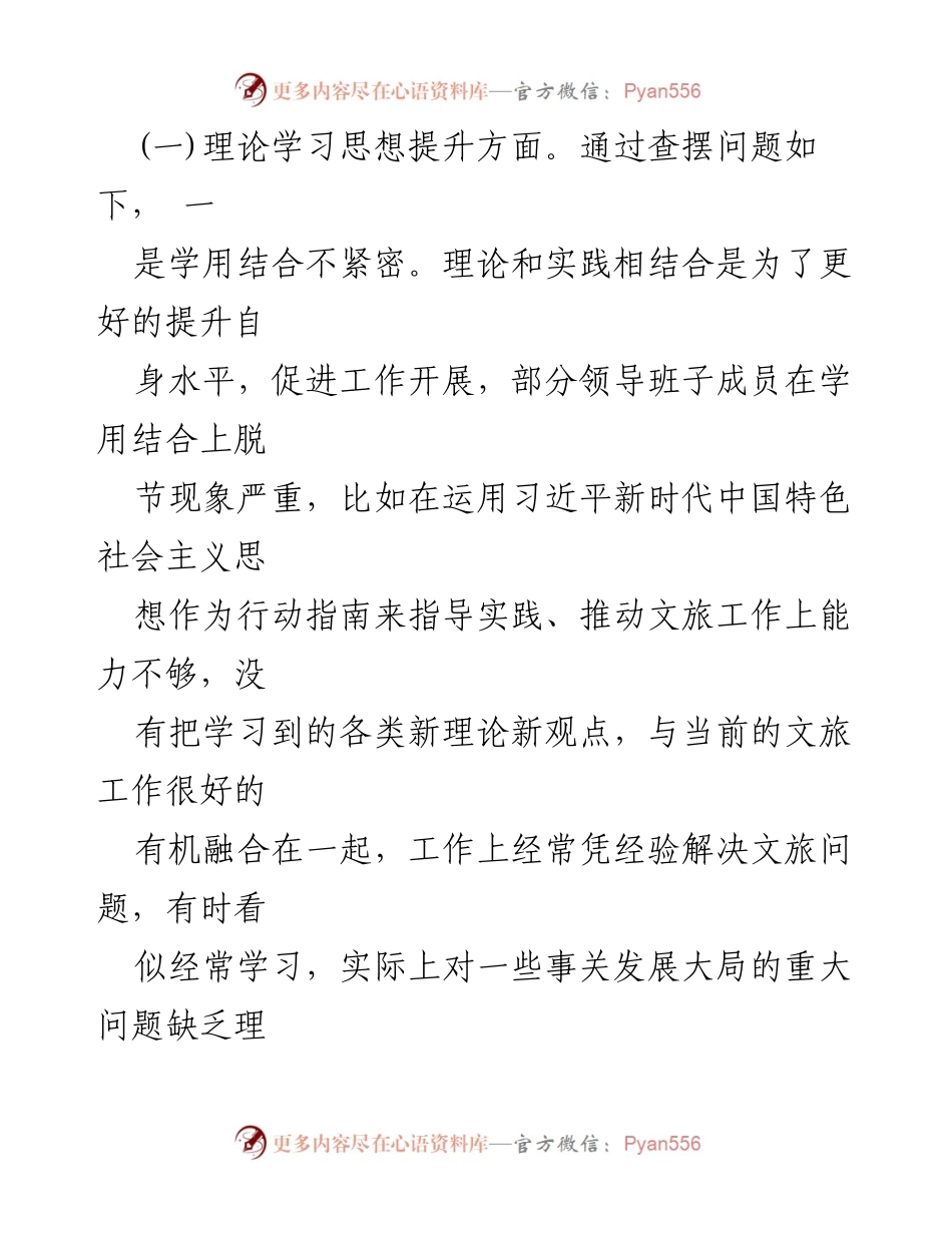 [工作总结] 文化和旅游局 - 领导班子党性检视与整改措施汇报.docx_第2页