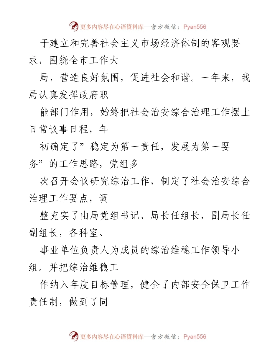 [工作总结] 年度综治工作 - 202X年度社会治安综合治理工作总结.docx_第2页