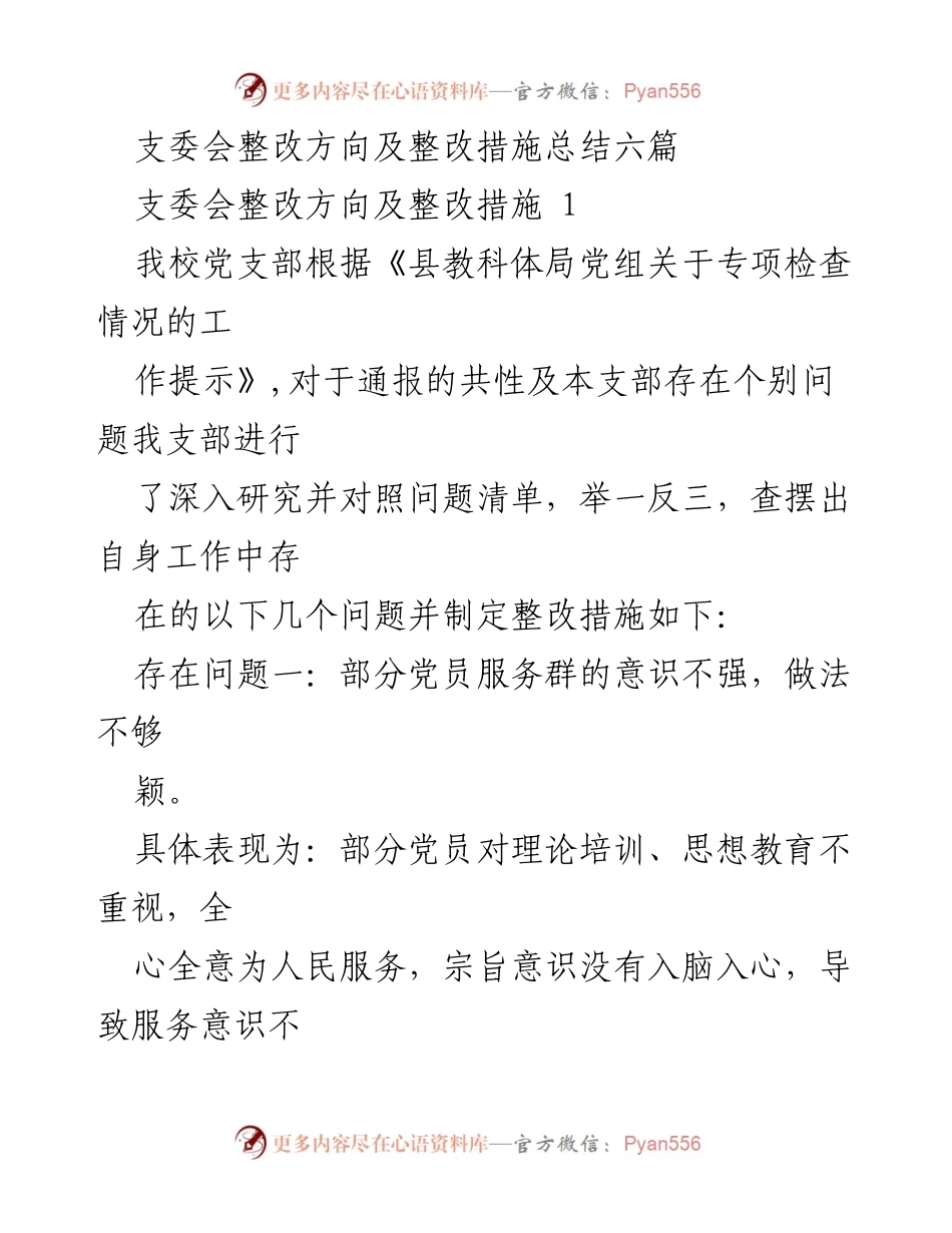 [工作总结] 支委会整改 - 支委会整改方向及措施总结.docx_第1页