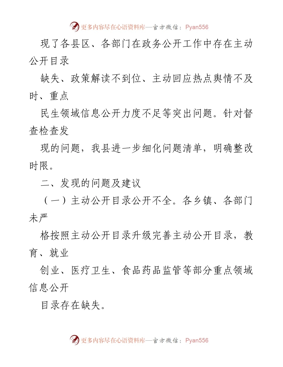 [工作总结] 政务公开督查 - 202X年政务公开工作督查检查情况总结与整改建议.docx_第2页