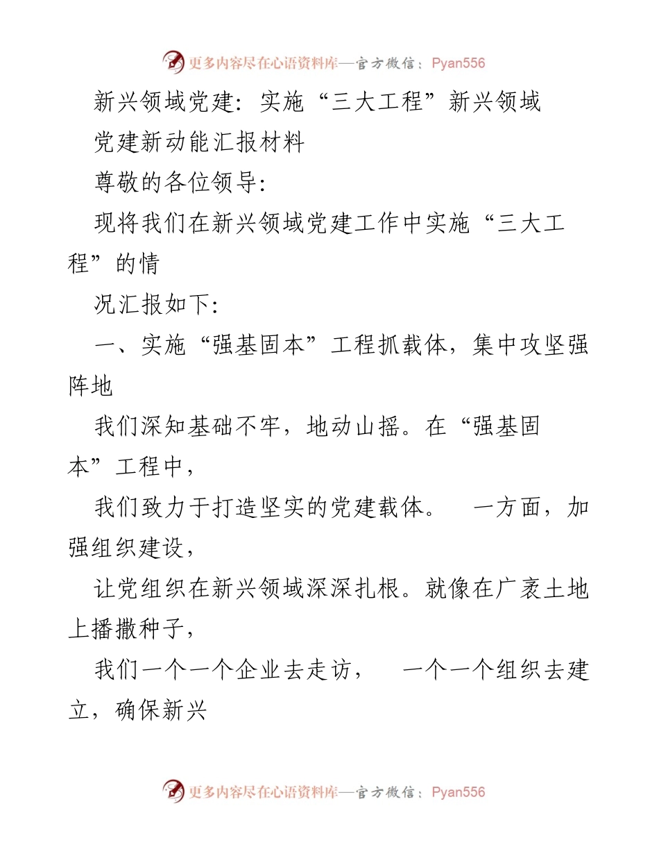 [工作总结] 新兴领域党建工作汇报 - 新兴领域党建“三大工程”实施情况总结.docx_第1页