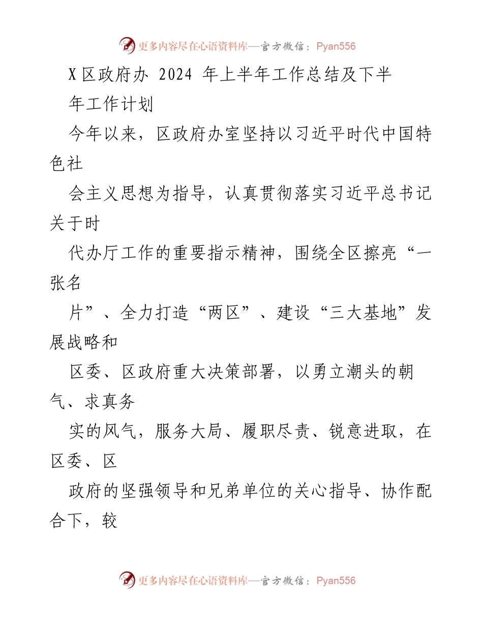 [工作总结] 政府部门 - X区政府办2024年上半年工作总结与下半年工作计划.docx_第1页