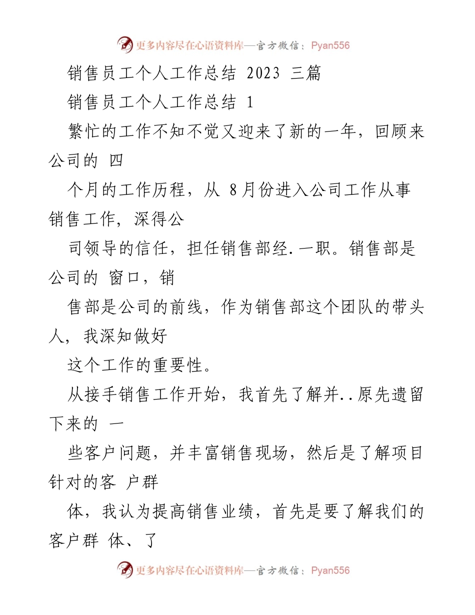 [工作总结] 年终总结 - 销售团队的成长与挑战：2023年个人工作总结.docx_第1页