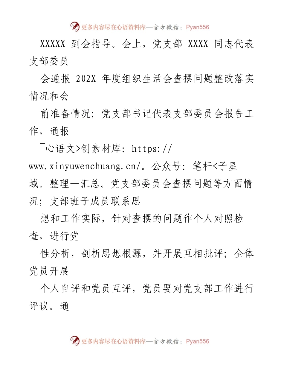 [工作总结] 年度组织生活会 - XXX 公司党支部202X年度组织生活会情况汇报.docx_第2页
