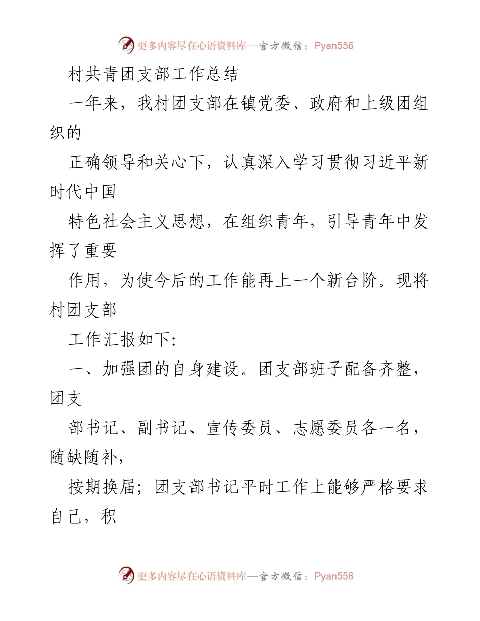 [工作总结] 村共青团支部 - 村团支部年度工作总结与发展计划.docx_第1页
