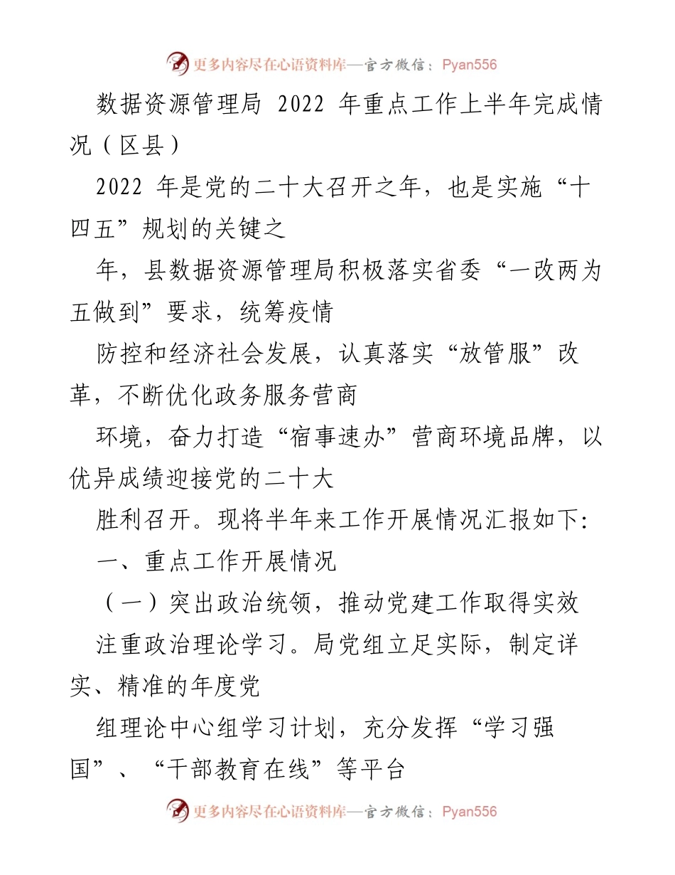 [工作总结] 数据资源管理局 - 2022年上半年工作开展情况汇报.docx_第1页