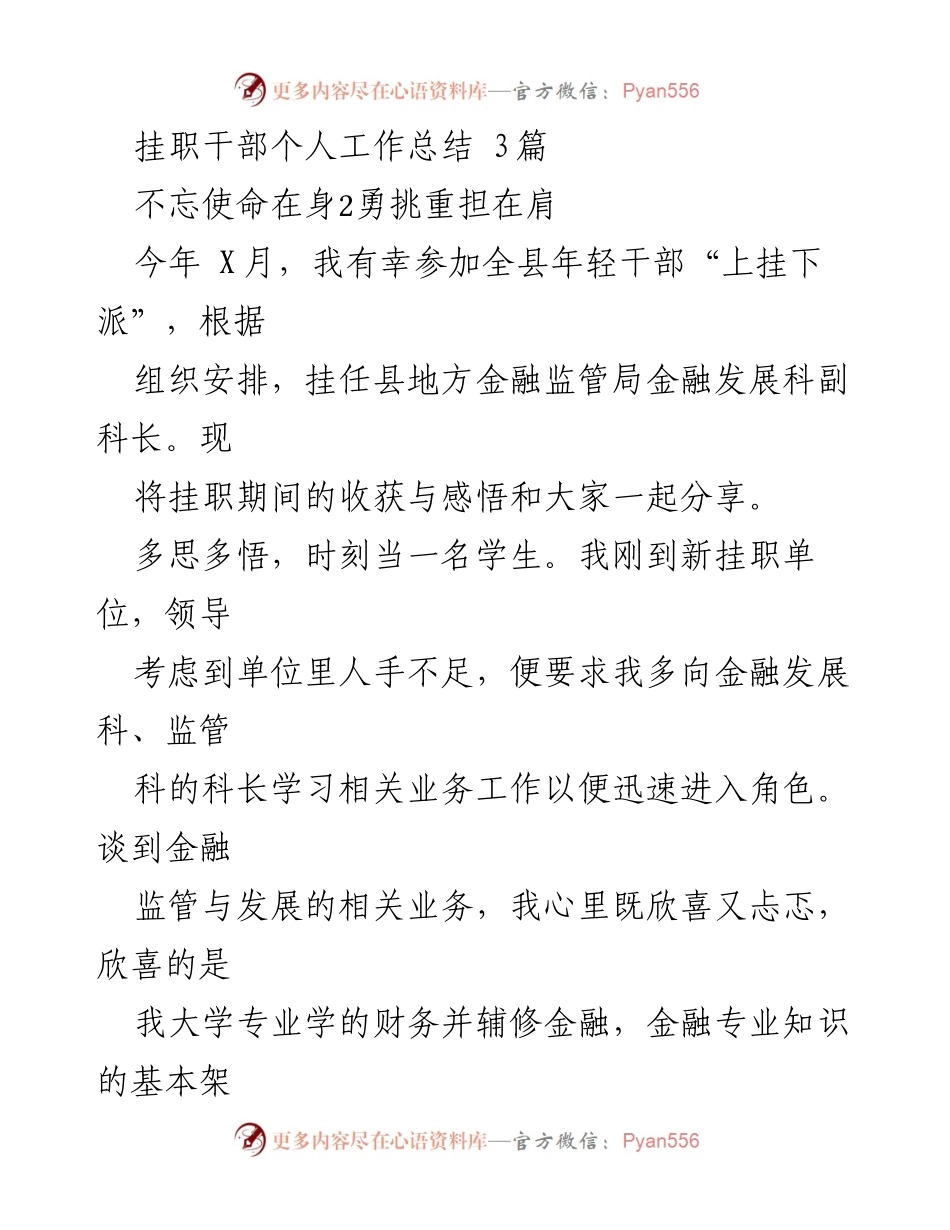 [工作总结] 挂职干部 - 不忘使命，勇挑重担：挂职干部个人工作总结.docx_第1页