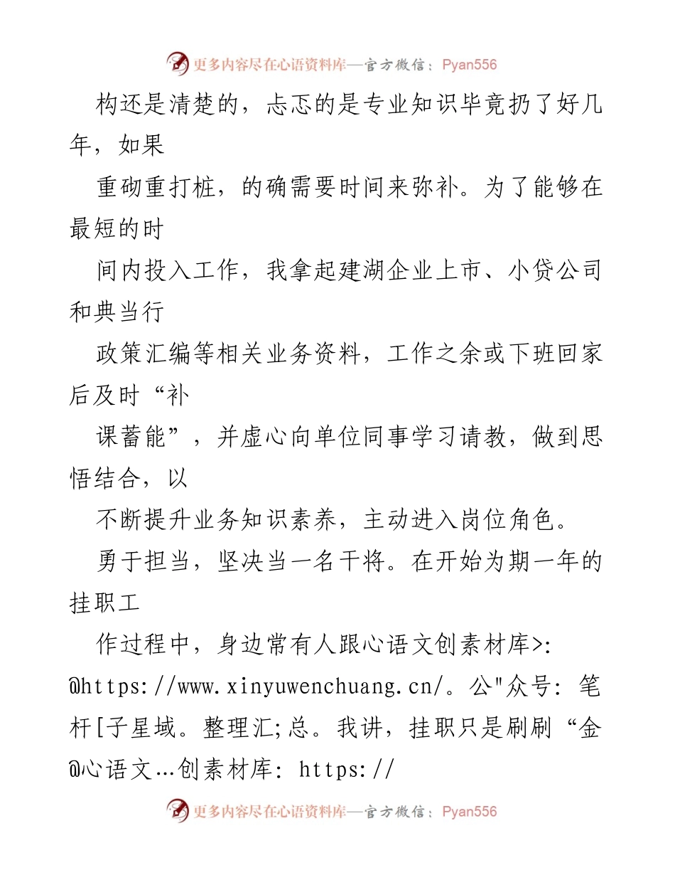 [工作总结] 挂职干部 - 不忘使命，勇挑重担：挂职干部个人工作总结.docx_第2页