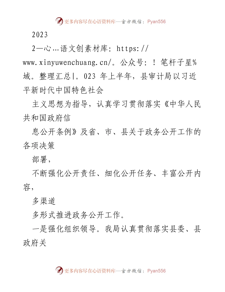 [工作总结] 政务公开工作 - 2023年上半年县审计局政务公开工作总结及下半年工作思路.docx_第1页