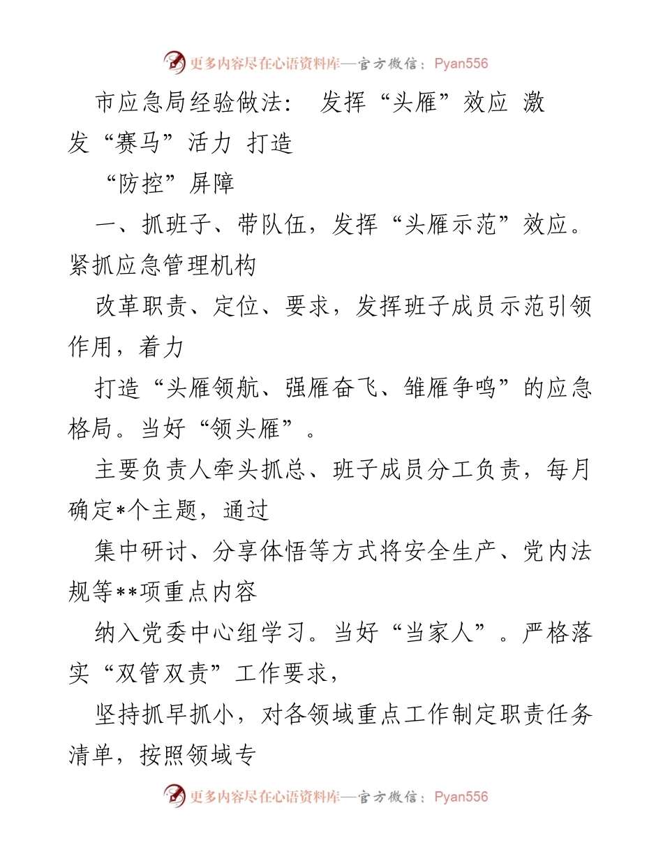 [工作总结] 应急管理 - 发挥“头雁”效应，激发“赛马”活力，构建应急防控屏障.docx_第1页