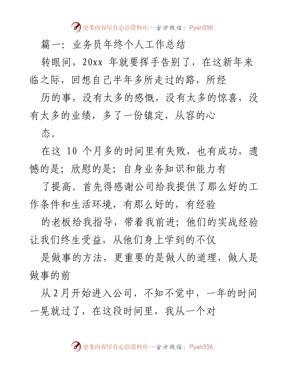 [工作总结] 年终总结 - 业务员年终个人工作总结与反思.docx_第1页