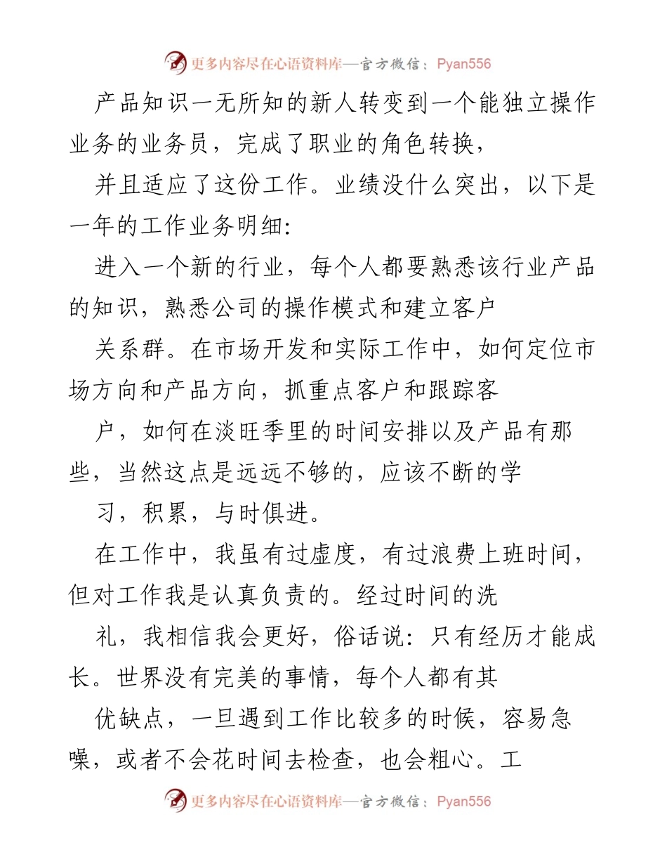 [工作总结] 年终总结 - 业务员年终个人工作总结与反思.docx_第2页