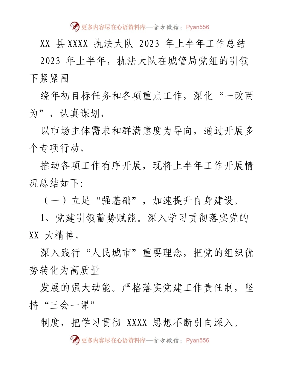 [工作总结] 执法大队 - 2023年上半年执法工作总结报告.docx_第1页