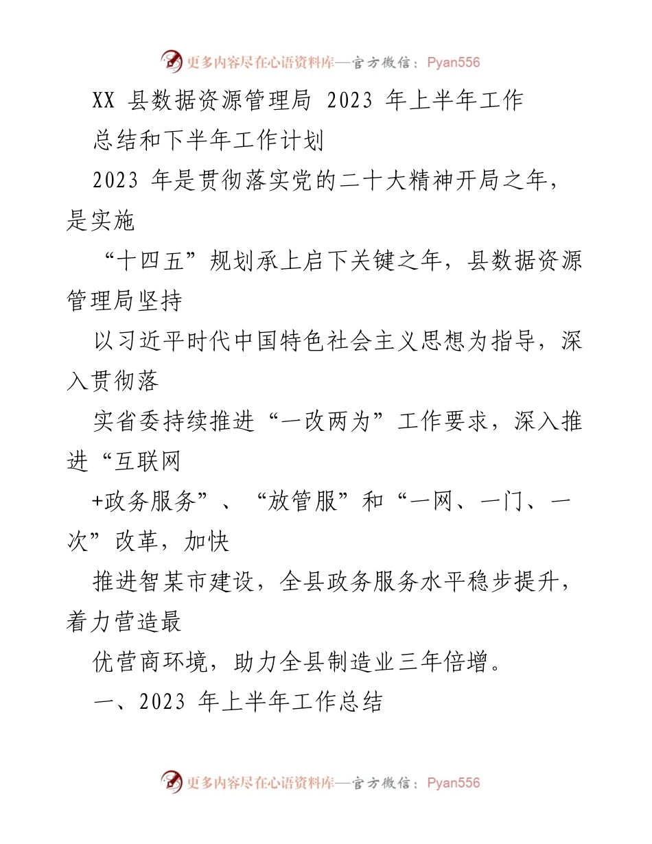 [工作总结] 政务服务 - XX县数据资源管理局2023年上半年工作总结与下半年计划.docx_第1页