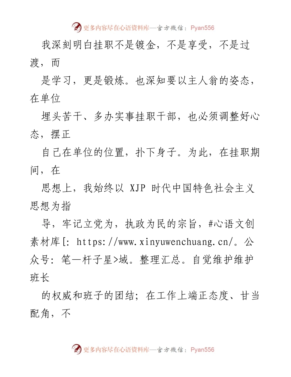 [工作总结] 挂职锻炼 - 挂职工作总结与收获.docx_第2页