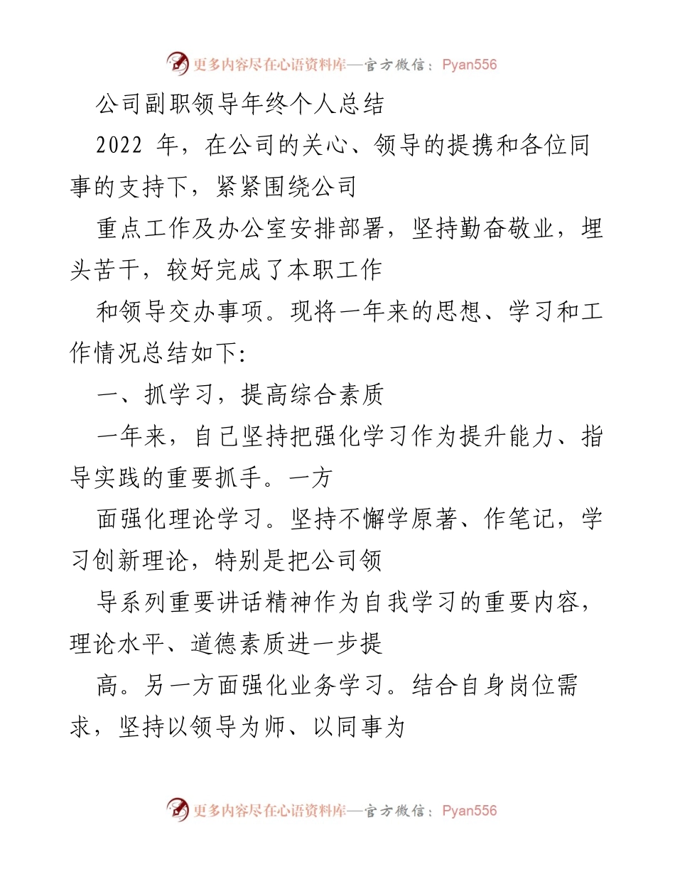 [工作总结] 年终总结 - 副职领导2022年个人工作总结报告.docx_第1页