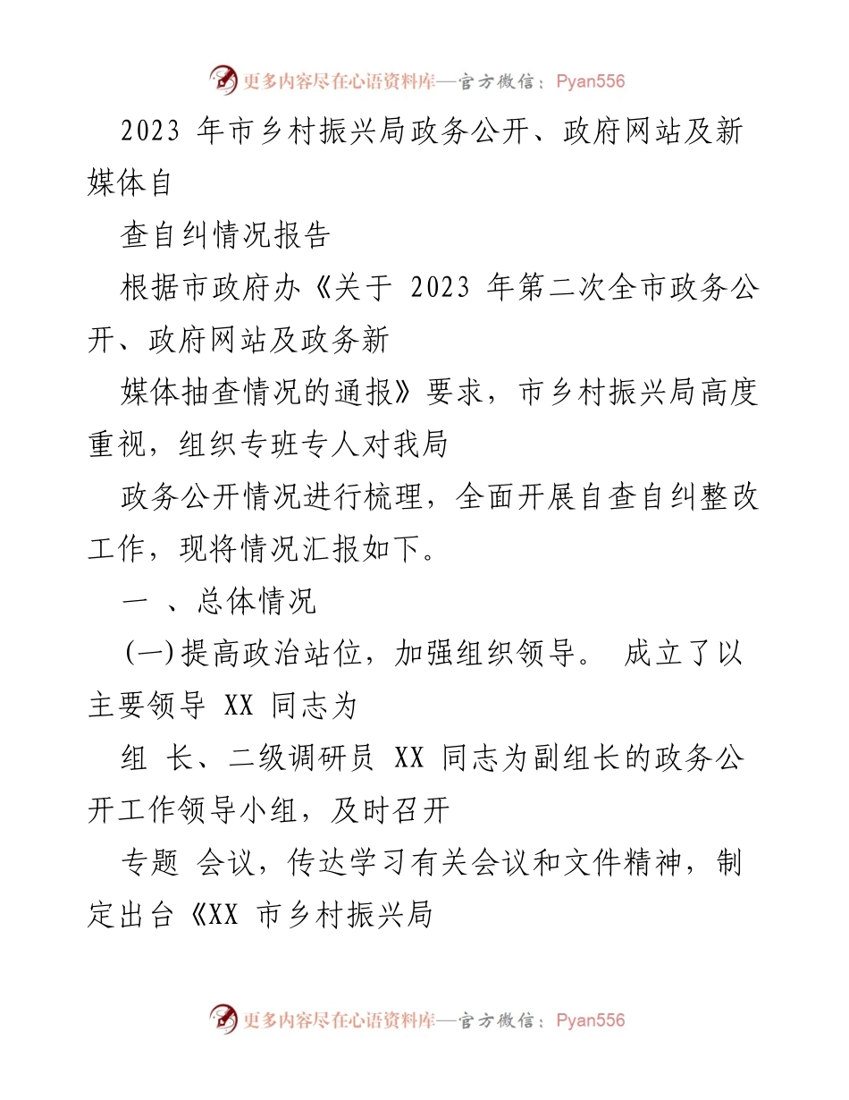 [工作总结] 政务公开自查 - 2023年市乡村振兴局政务公开自查自纠情况报告.docx_第1页