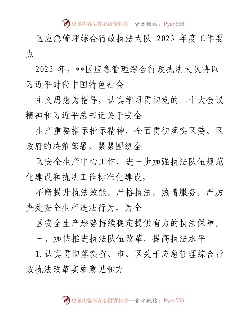 [工作总结] 应急管理执法 - 2023年度区应急管理综合行政执法大队工作要点.docx_第1页