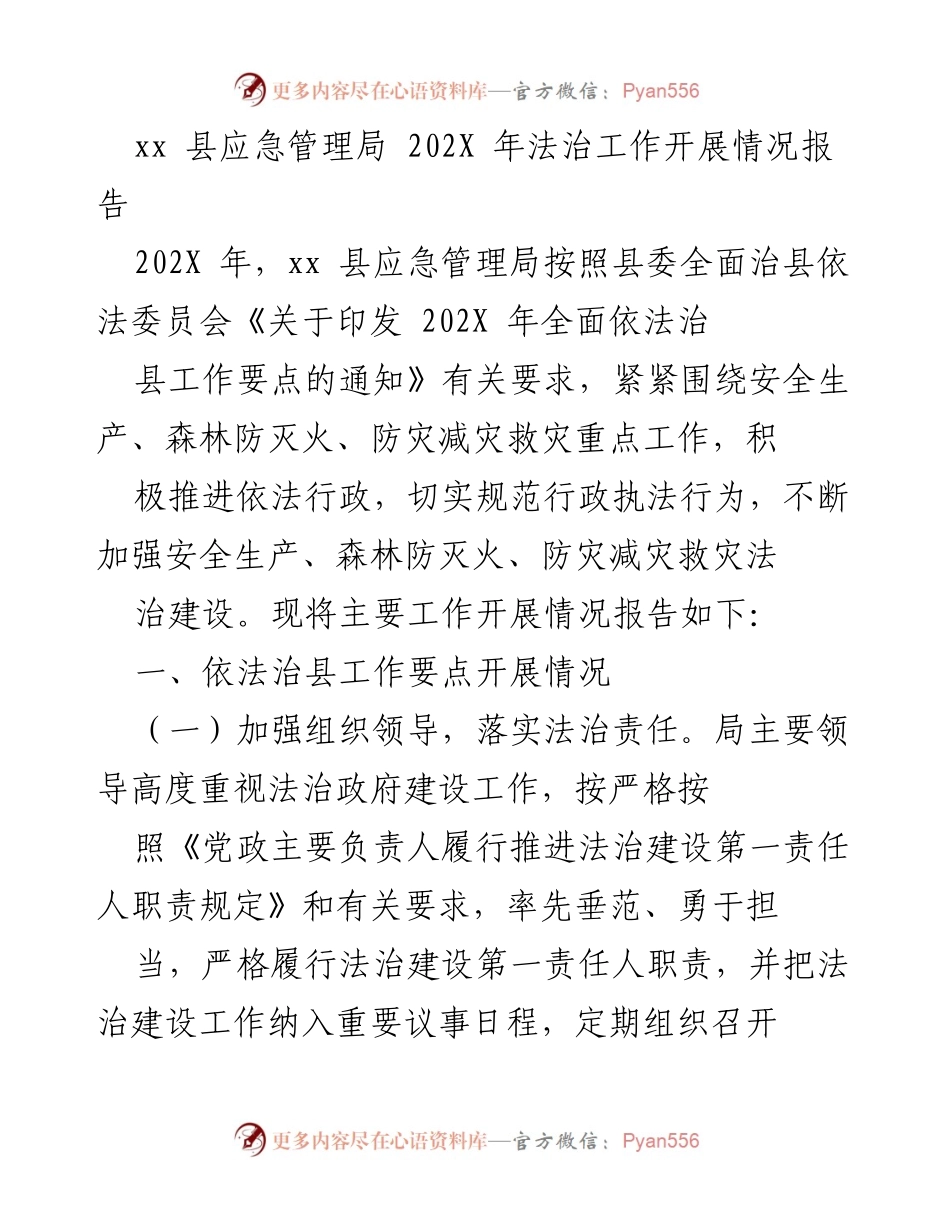 [工作总结] 应急管理局 - 202X年法治工作开展情况总结报告.docx_第1页