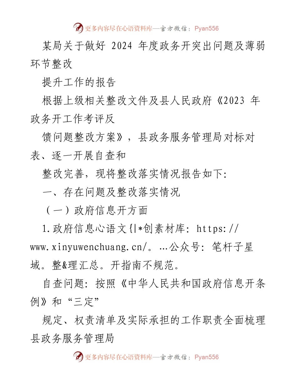 [工作总结] 政务整改 - 2024年度政务公开问题整改落实情况报告.docx_第1页